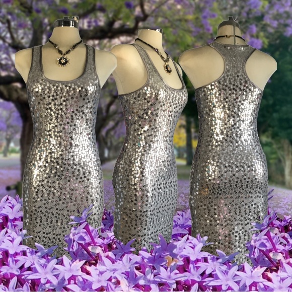 ATTITUDE  Elegant Luxury Grey and Silver Sequins Dress size 0 - Picture 8 of 16